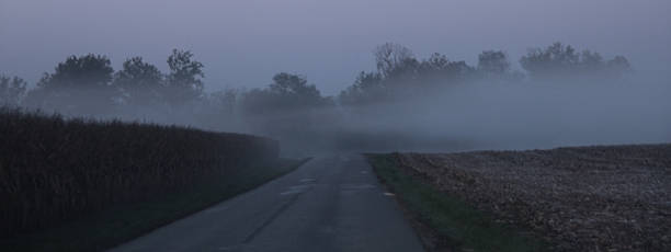 istock Foggy Country Road 480187111
