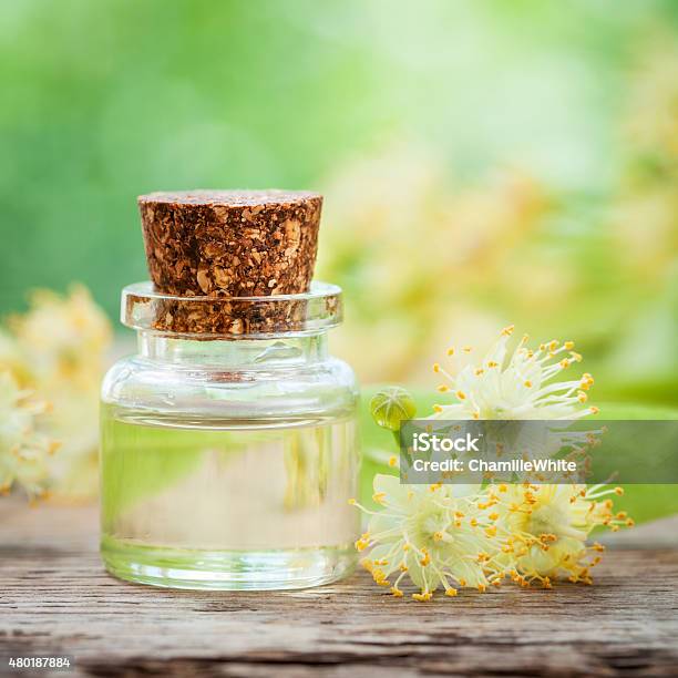 Bottle Of Essential Linden Oil And Lime Flowers Stock Photo - Download Image Now - 2015, Alternative Medicine, Aromatherapy