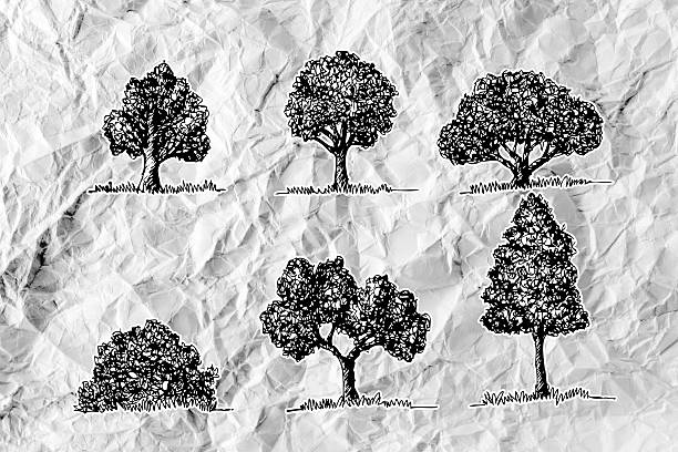 istock Set of trees with leaves on crumpled paper 480188895