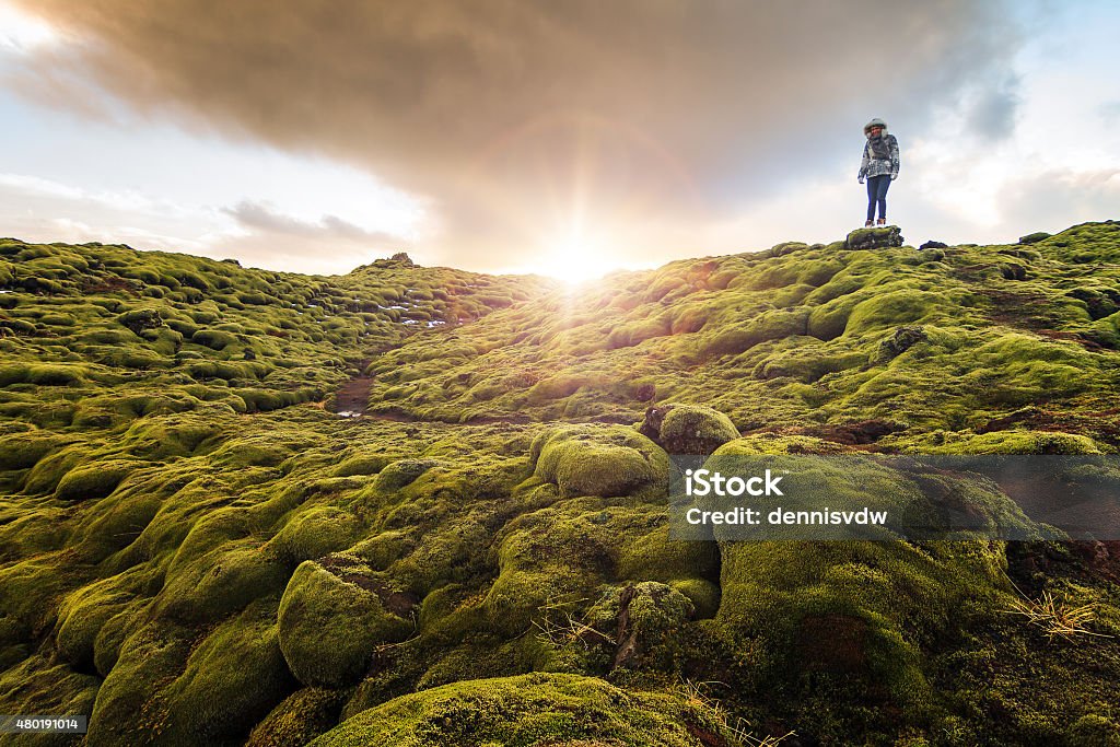 Volcanic moss Iceland Beautiful tourist posing in the amazing volcanic mossy landscape of Eldhraun at sunrise in Iceland 2015 Stock Photo