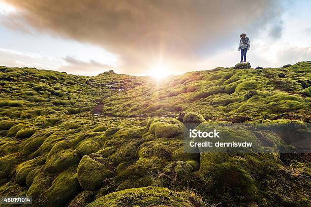 Volcanic Moss Iceland Stock Photo - Download Image Now - 2015, Activity, Adult