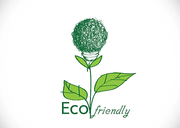 light bulb plant growing  eco energy concept