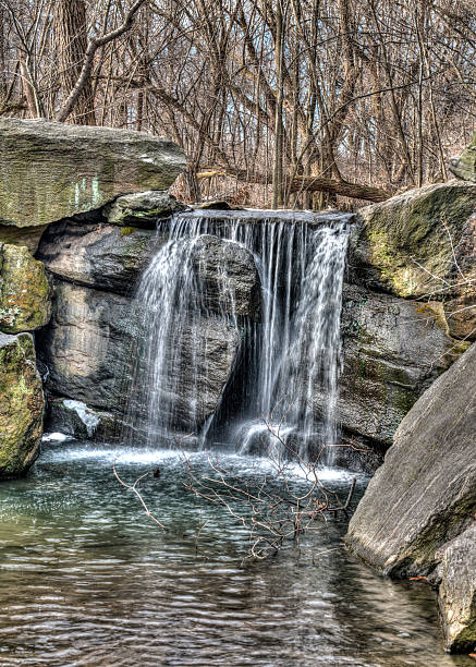istock Central Park, New York City winter 480193321