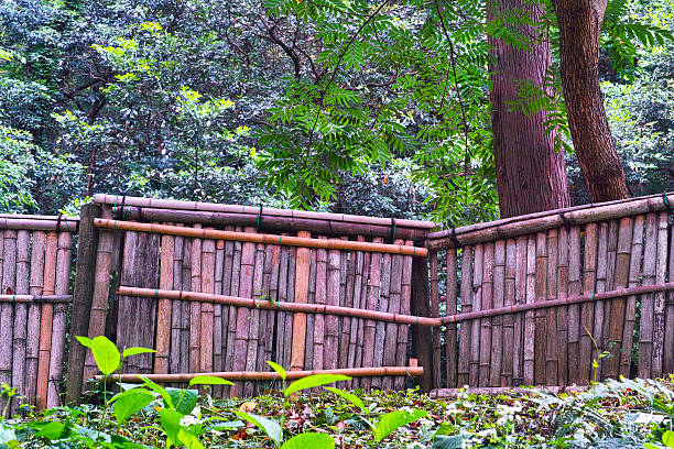 istock Landscape there is a bamboo fence 480194954