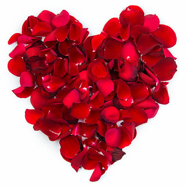 istock Heart of rose petals 480195183