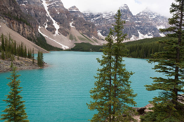 istock Lake Moraine, Banff National Park - Stock Image 480195556