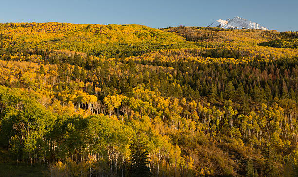 istock McClure Pass in the Autumn 480196062