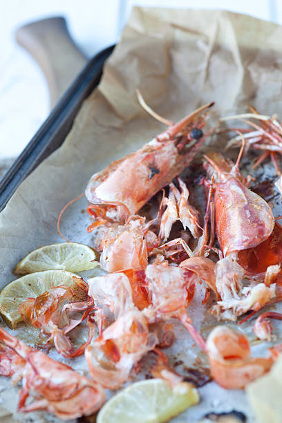 Roasted seafood shells stock photo