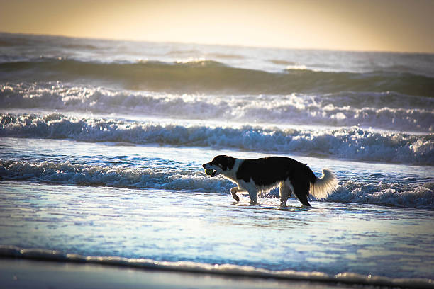 Beautiful morning in Wildwood, NJ.