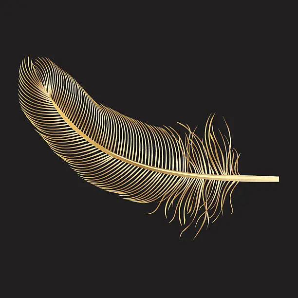 Vector illustration of Gold Feather