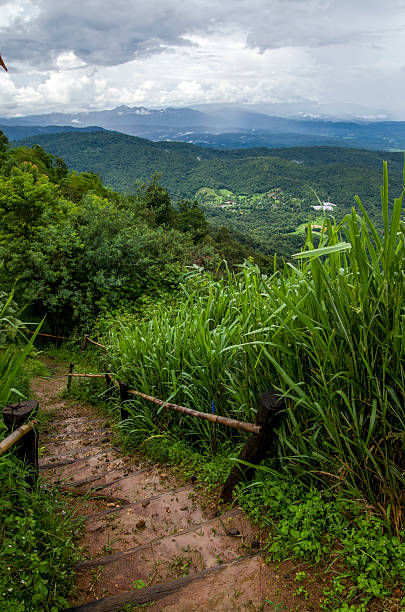 istock Mountain trail in Thailand 480202179