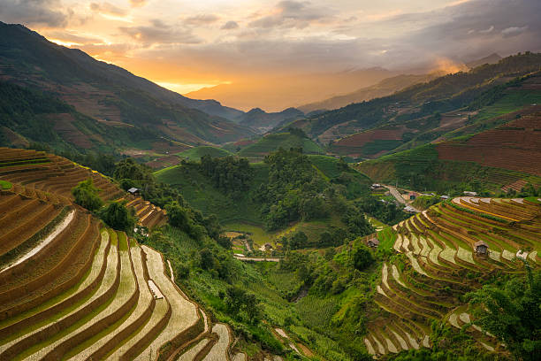 istock Rice fields on terraced in rainny season at Vietnam. 480204246