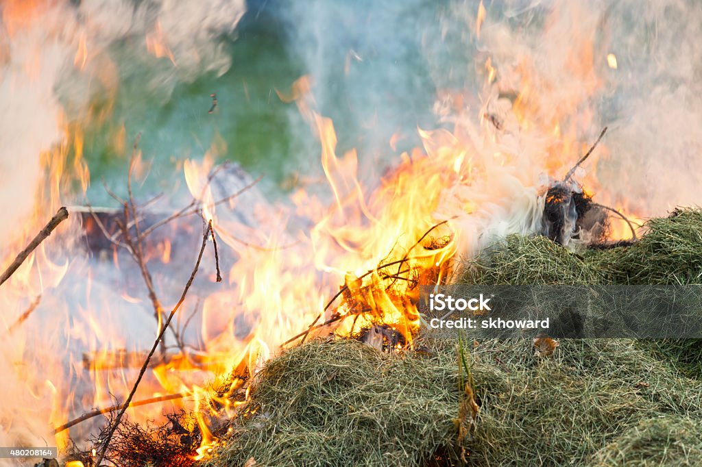 Burning Green Grass Clippings with Smoke and Flames Fire with green grass clippings and lots of smoke.  Burning grass  clippings from the yard. 2015 Stock Photo