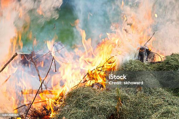 Burning Green Grass Clippings With Smoke And Flames Stock Photo - Download Image Now