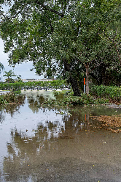 istock The flooded Street 480210159