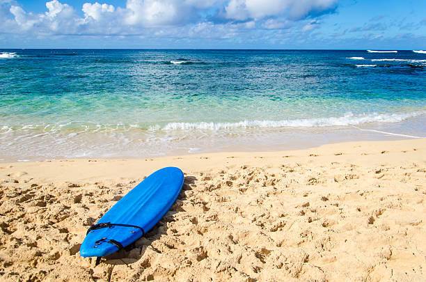 istock Surfboard on the sandy beach in Hawaii 480211534