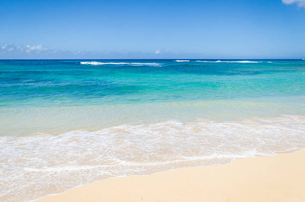 istock Ocean and tropical sandy beach background 480212098