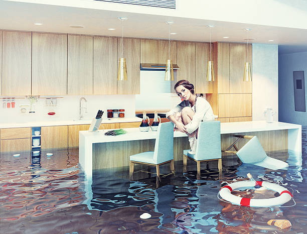 istock woman in flooded kitchen interior 480216604