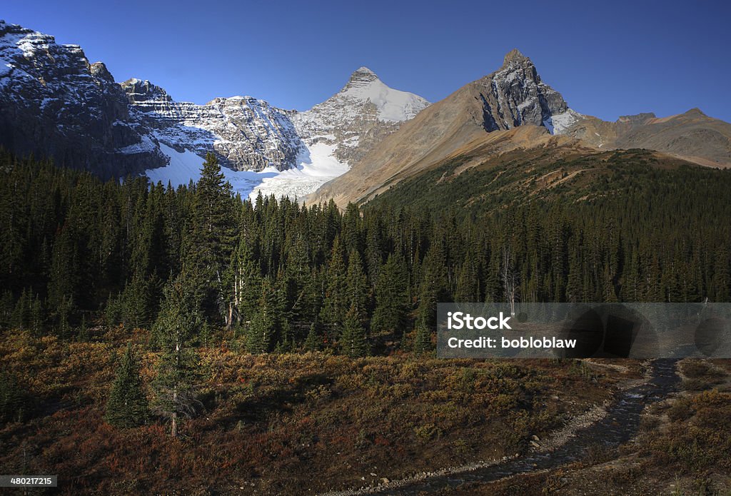 View of the Rocky Mountains along Icefields Parkway Alberta Stock Photo