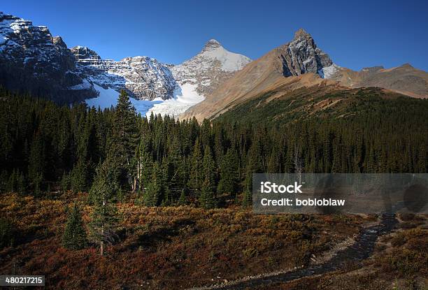 View Of The Rocky Mountains Along Icefields Parkway Stock Photo - Download Image Now