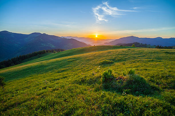 istock Beautiful summer sunrise in mountains. 480217682