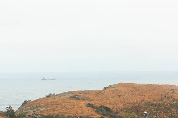 istock Winter landscapes in Jeju Island 480217876