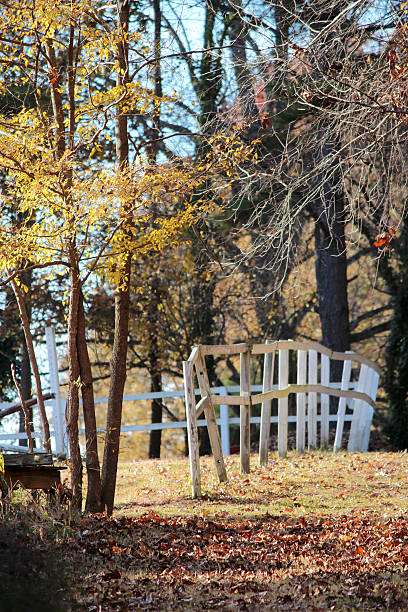 istock Dilapidated Fence In Autumn 480217902