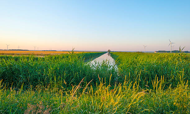 istock Canal through a sunny landscape in summer at sunrise 480218370