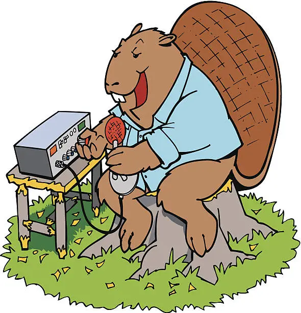 Vector illustration of Beaver C B Radio C