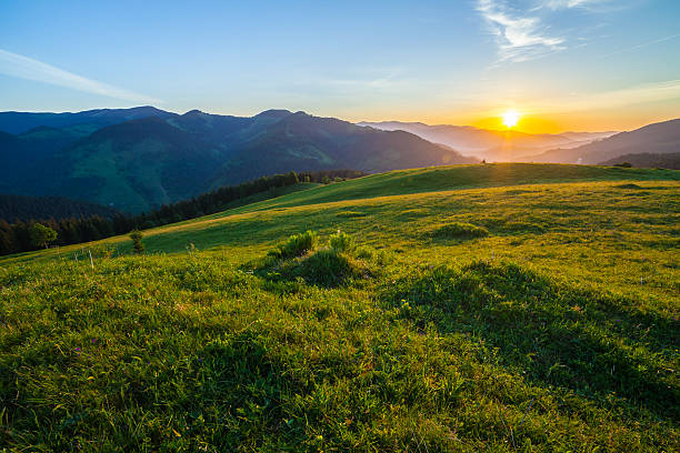 istock Beautiful summer sunrise in mountains. 480222354