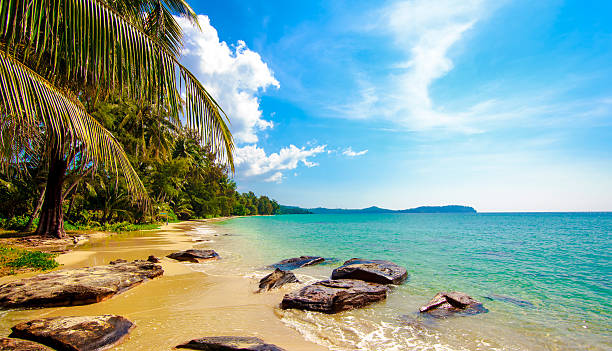 istock beautiful beach and tropical sea. 480223735