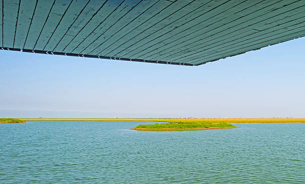 istock Modern bird hide along a lake in summer 480224012