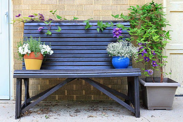 istock dark bench and colorful flowers 480224308