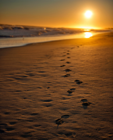 Footprints on wet sand on the beach, at sunset.