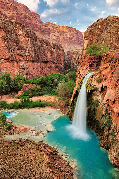 piękny wodospad havasu falls, supai, arizona, stany zjednoczone - beauty in nature clean cool stream zdjęcia i obrazy z banku zdjęć