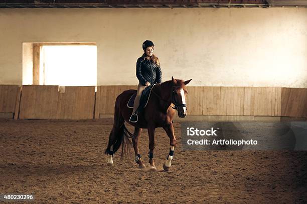 Woman Training Brown Horse In Riding Hall Stock Photo - Download Image Now - Horse, Horseback Riding, 2015