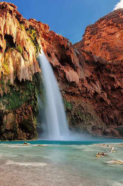 Waterfall in Grand Canyon, Havasu Falls, Arizona Oasis in the Grand Canyon, Havasu Falls, Havasupai Indian Reservation, Arizona havasupai indian reservation stock pictures, royalty-free photos & images