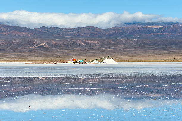 Salinas Grandes salt desert in the Jujuy Province, Argentina Salinas Grandes on Argentina Andes is a salt desert in the Jujuy Province. More significantly, Bolivas Salar de Uyuni is also located in the same region lakebed stock pictures, royalty-free photos & images