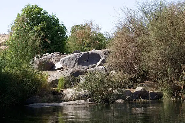 We take a closer look at life on Nile River while having a felucca sailboat ride from Aswan to Elephantine Island.