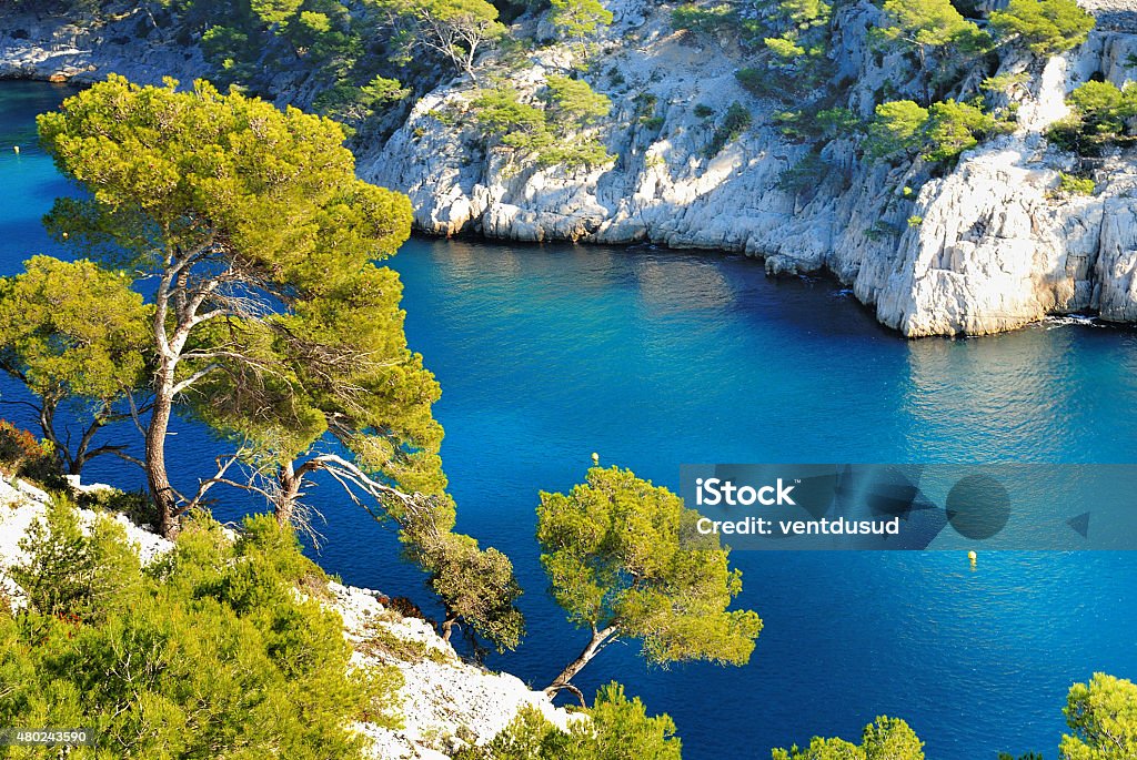 calanque  of Cassis Calanques of Port Pin in Cassis in France near Marseille Calanques Stock Photo