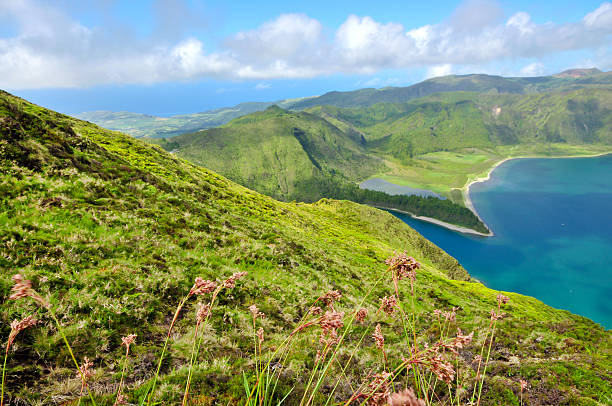 istock Lake and green habitat around it 480243947