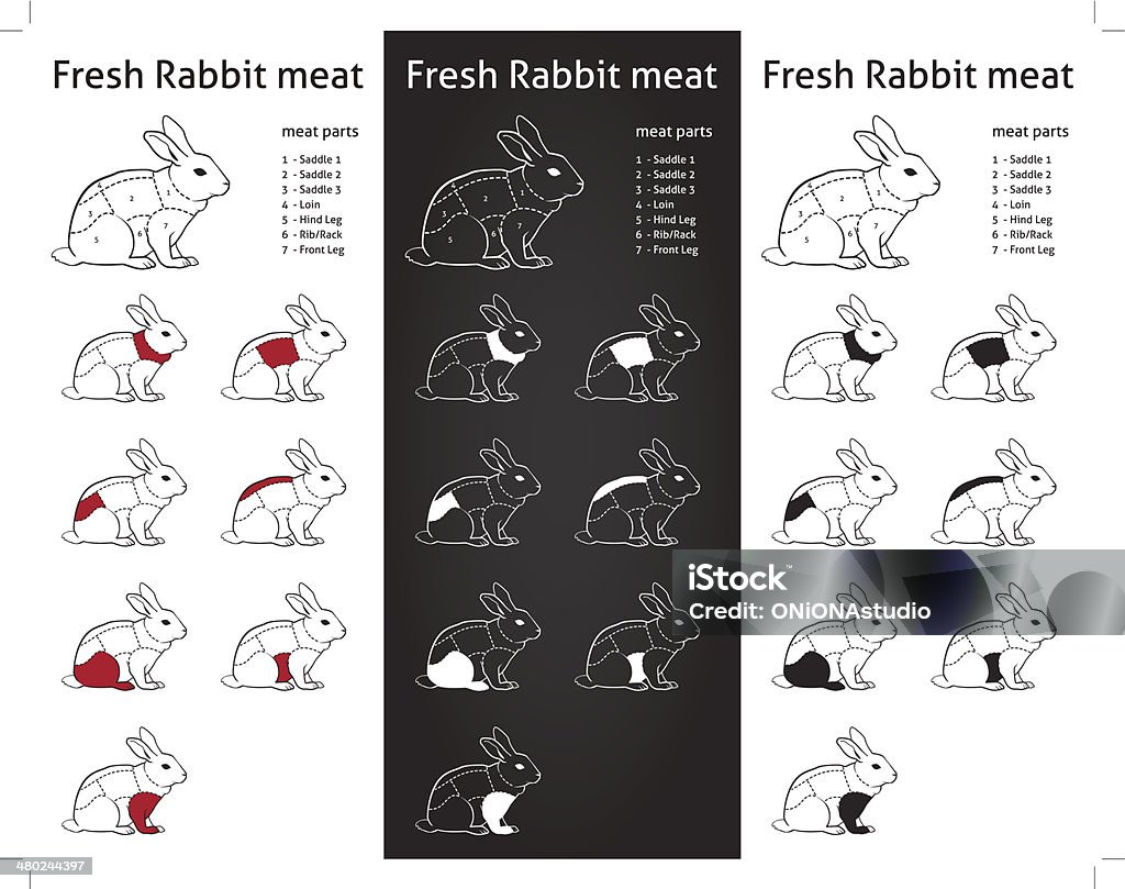 Fresh Rabbit Cuts Parts Diagram Infograpic Stock Illustration - Download  Image Now - Animal Body Part, Animal Leg, Animal Limb - iStock