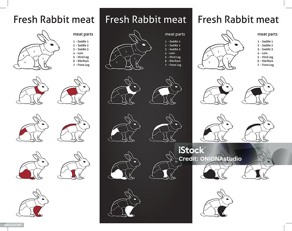 Fresh Rabbit Cuts Parts Diagram Infograpic Stock Illustration - Download Image Now - Animal Body Part, Animal Leg, Animal Limb - iStock Fresh Rabbit Cuts Parts Diagram Infograpic Stock Illustration - Download Image Now - Animal Body Part, Animal Leg, Animal Limb - iStock