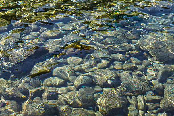 istock rocks under the water on the ocean 480250650