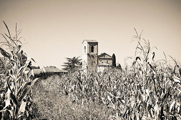 istock Tuscany Romanesque church immersed in a corn field 480250678