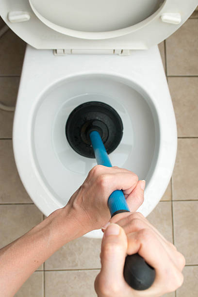 istock Toilet repair 480251156