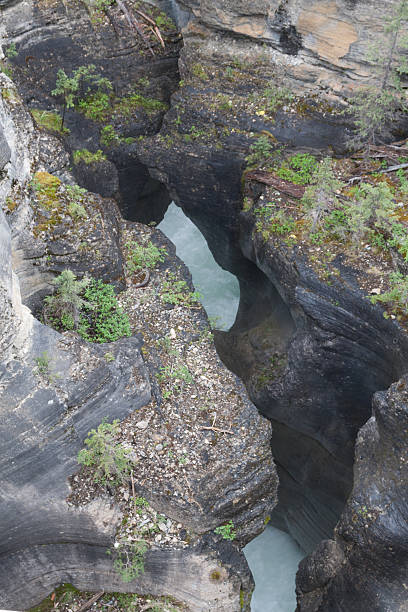 istock Maligne Canyon in Jasper - Stock image 480252346