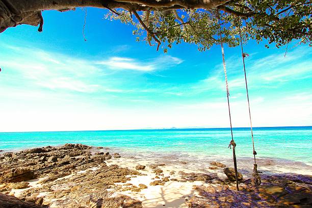 istock Swinging and Relaxing in beach 480252368