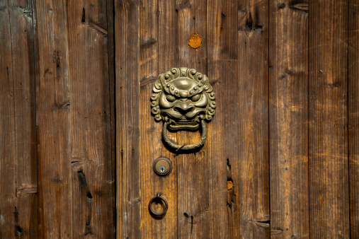 Closeup of a large, metal door knocker  in the shape of a lion's head and teeth on a grainy wooden door in Florence, Tuscany, Italy