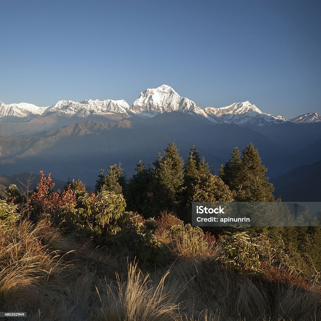 Vista desde Poonhill, Nepal - Foto de stock de Aire libre libre de derechos